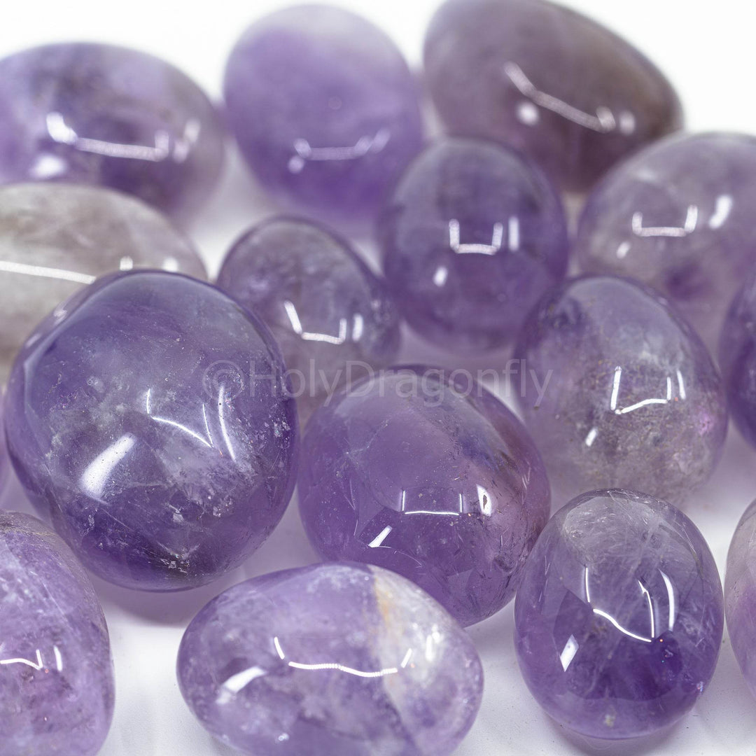 Ametistai - Holy Dragonfly