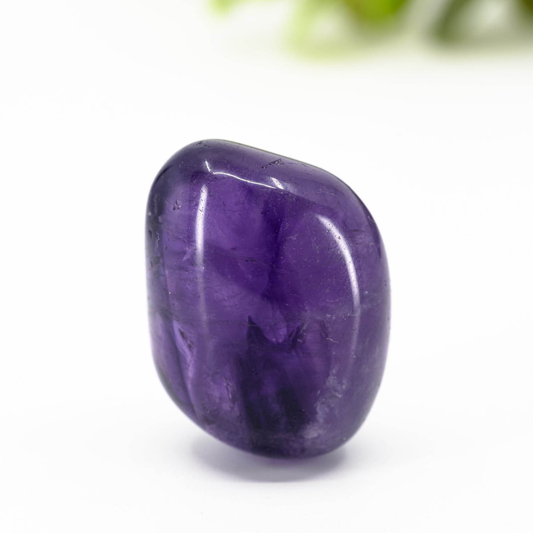 Dvasingumas - Holy Dragonfly