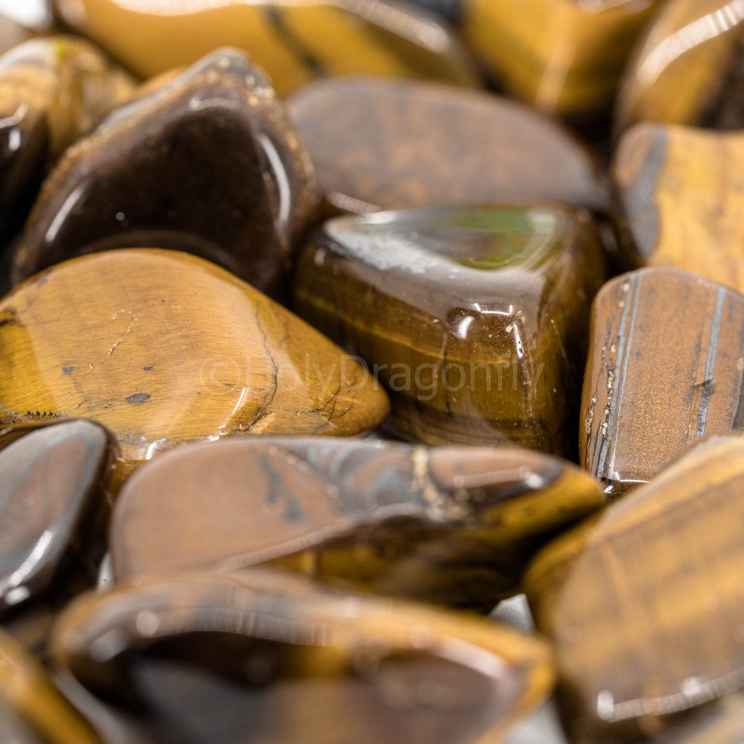 Tigro akys - Holy Dragonfly