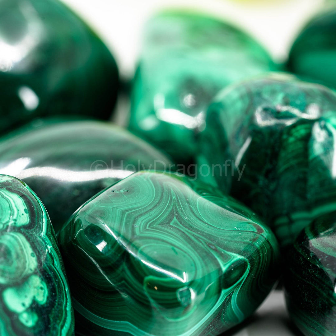 Malachitai - Holy Dragonfly