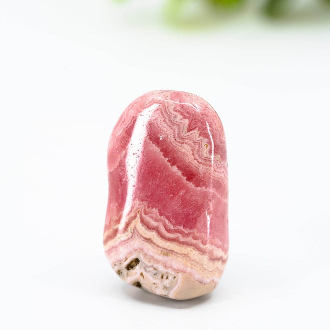 Meilė - Holy Dragonfly