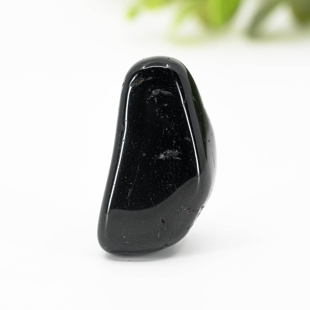 Apsauga - Holy Dragonfly