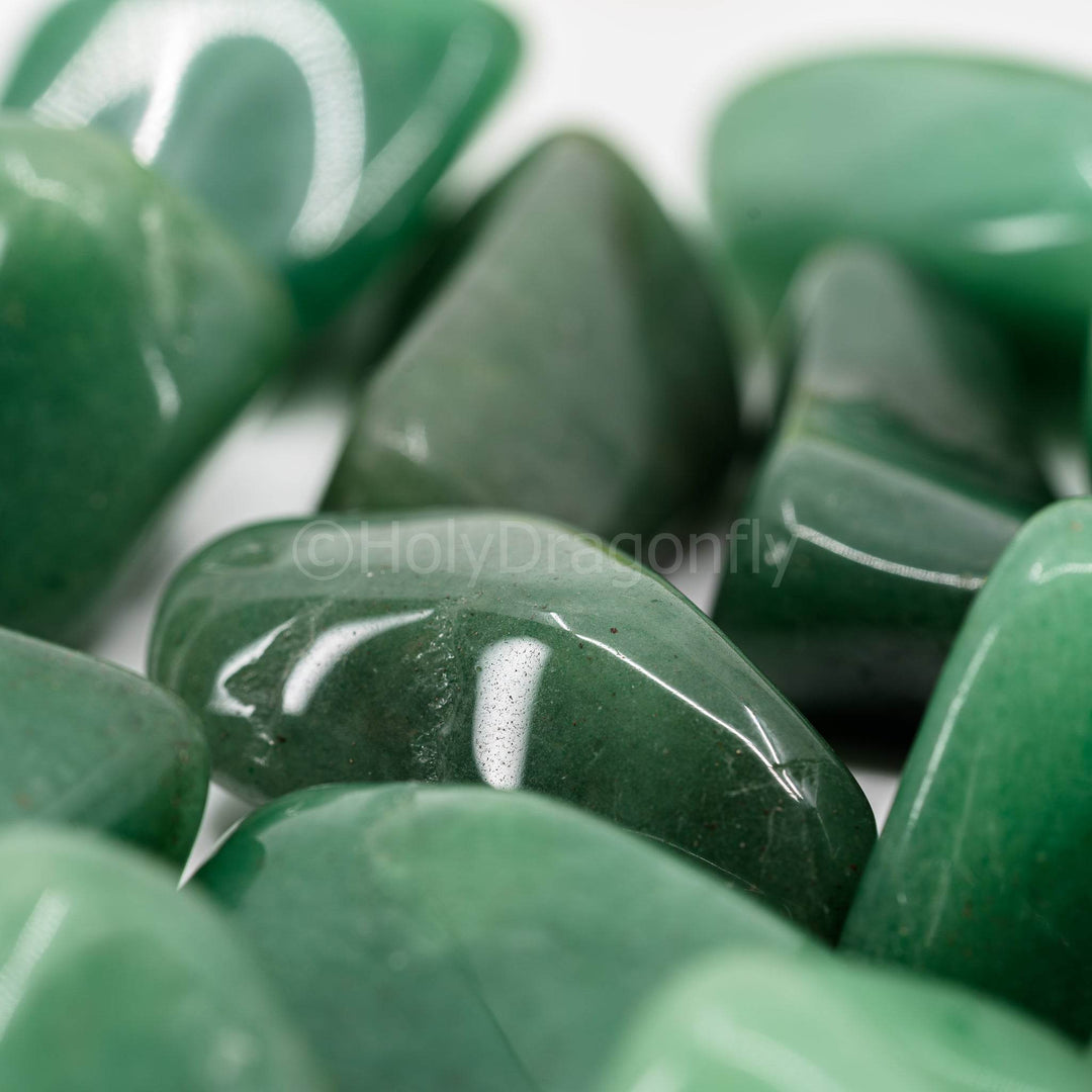 Avantiūrinai - Holy Dragonfly