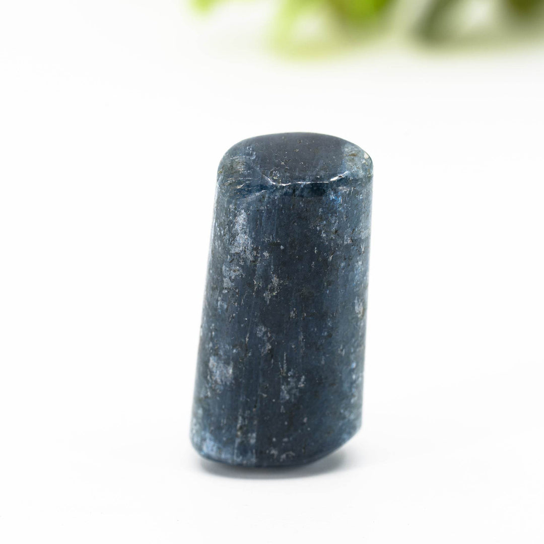 Harmonija - Holy Dragonfly