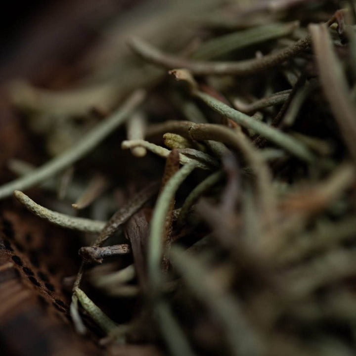 Sagrada Madre Sahumitos Rosemary - Holy Dragonfly