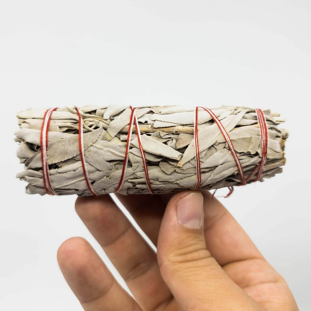 Baltasis Šalavijas - Holy Dragonfly