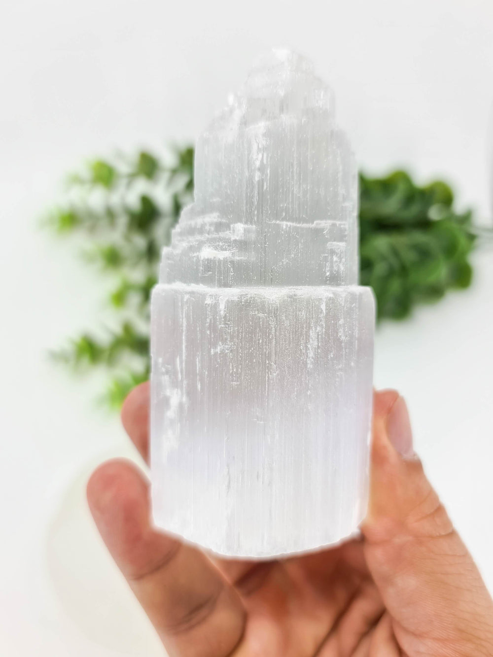 Selenitas - Bokštelis - Holy Dragonfly