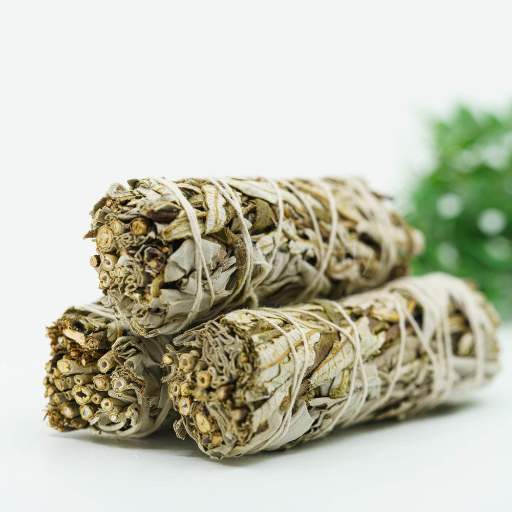 Baltas šalavijas su Yerba Santa (Hoja Santa) - Holy Dragonfly
