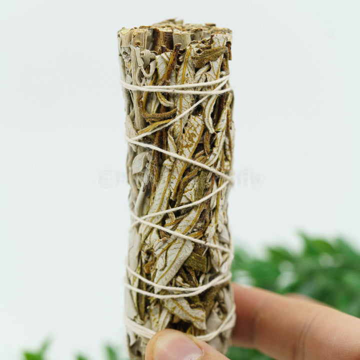Baltas šalavijas su Yerba Santa (Hoja Santa) - Holy Dragonfly