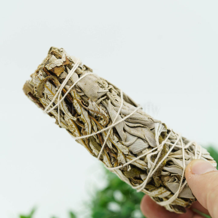 Baltas šalavijas su Yerba Santa (Hoja Santa) - Holy Dragonfly