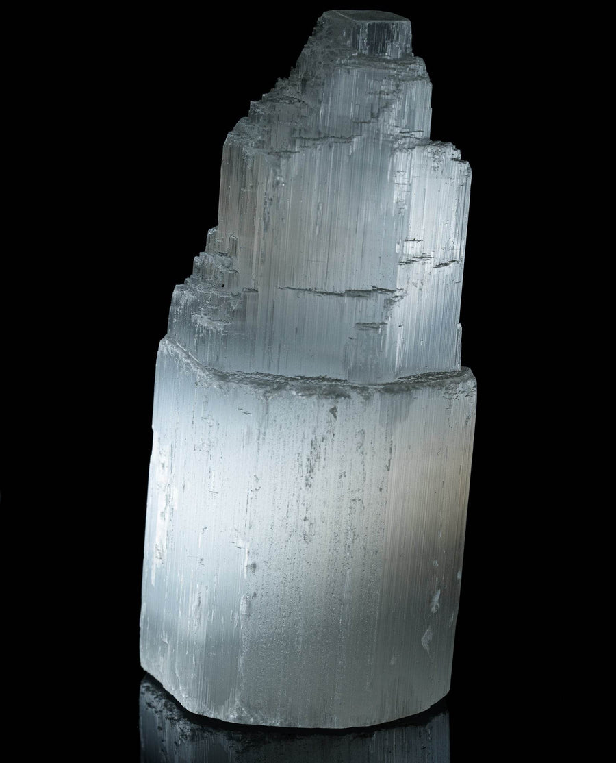 Selenitas - Bokštelis - Holy Dragonfly