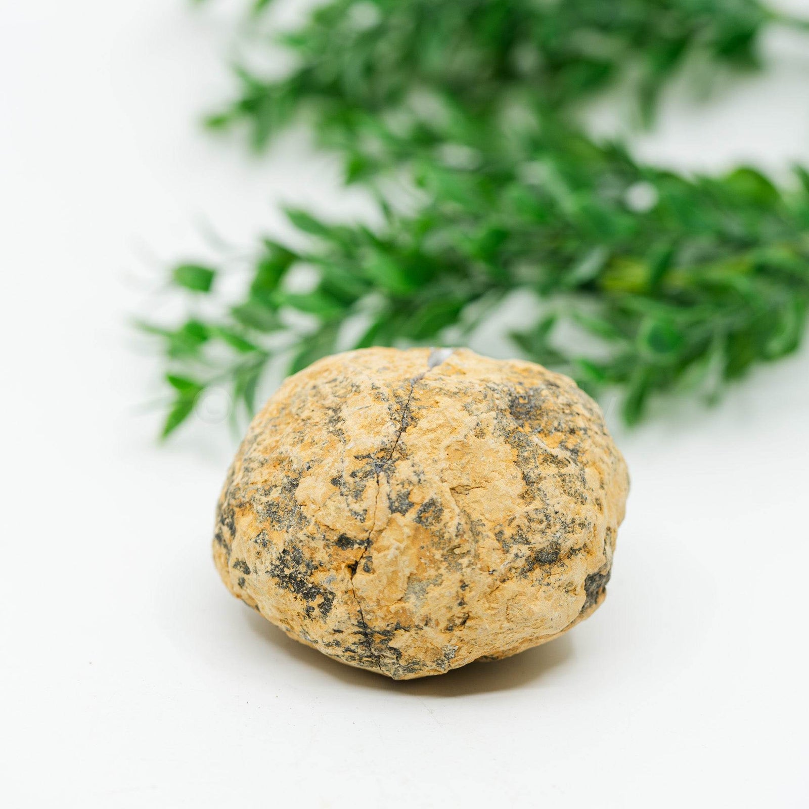 Kvarco Geodų pora ~200g - Holy Dragonfly