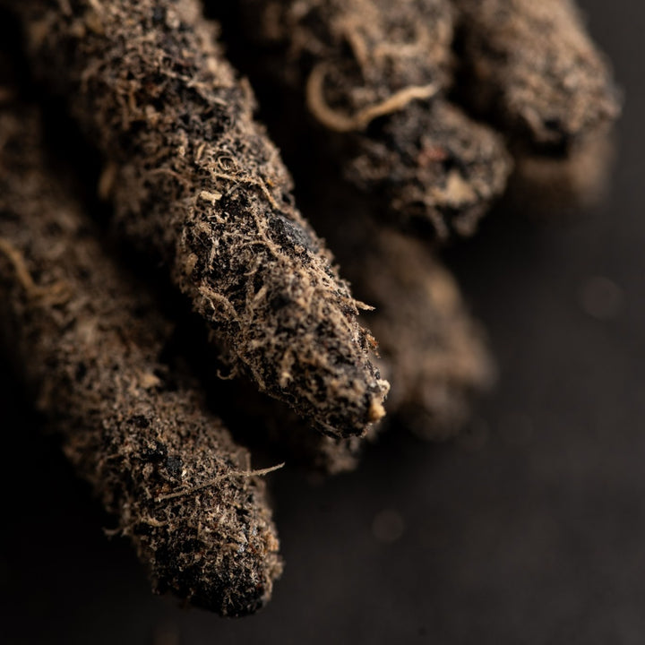 Sagrada Madre Cosmos – Mercury smilkalai