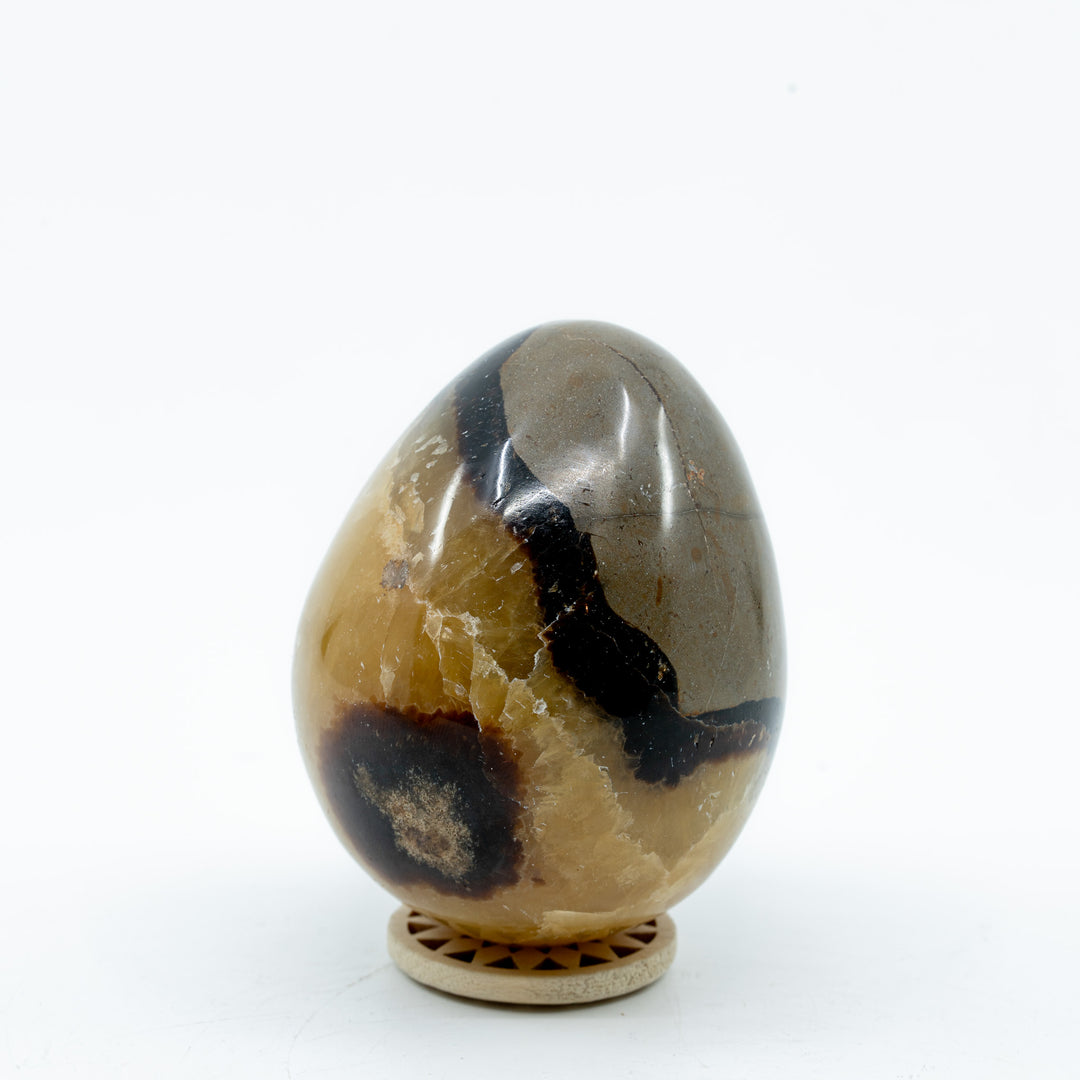 Septarija kiaušinis (drakono akmuo) 347 g.