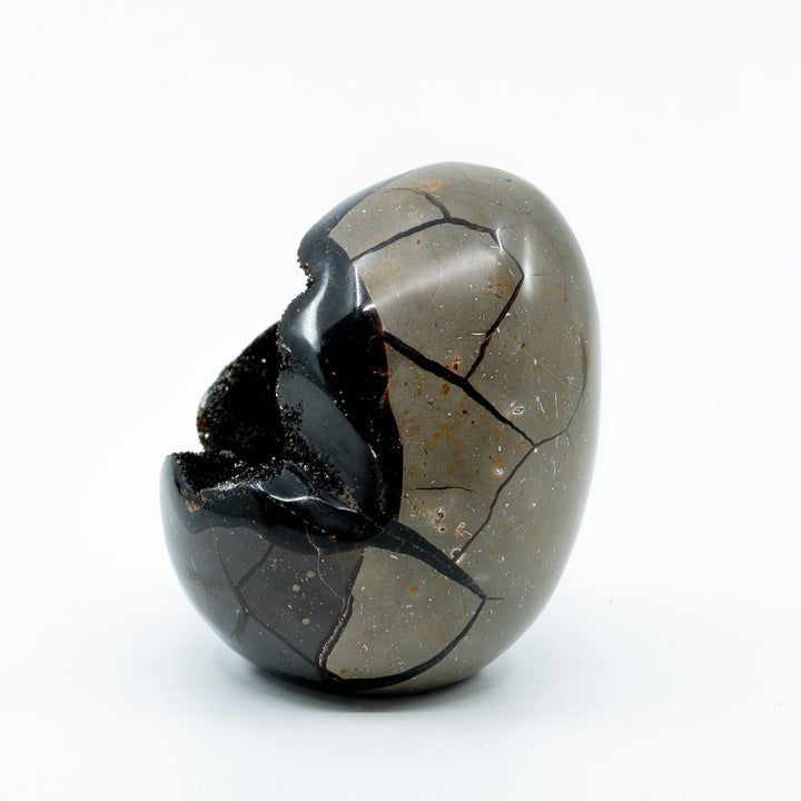 Septarija kiaušinis (drakono akmuo) 875 g