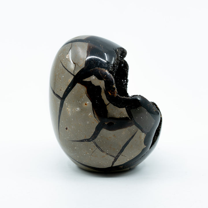 Septarija kiaušinis (drakono akmuo) 875 g