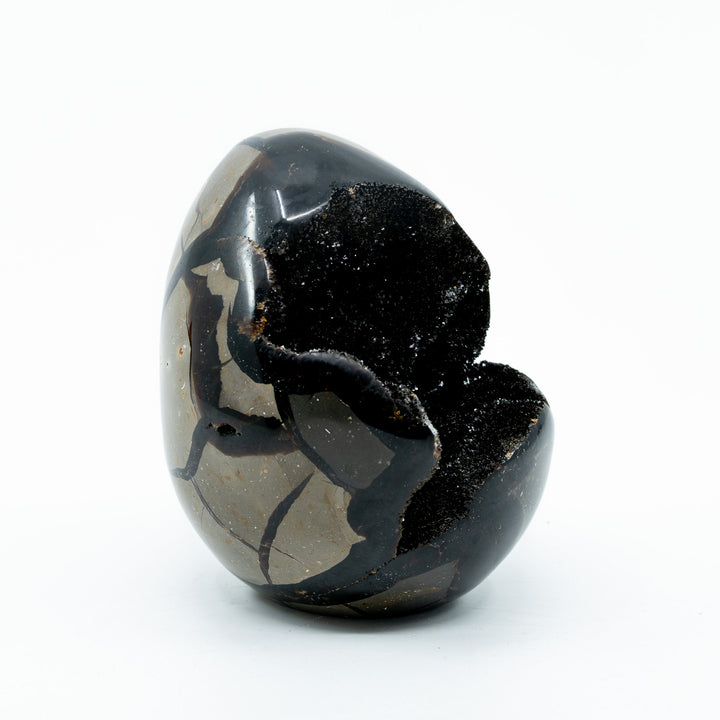 Septarija kiaušinis (drakono akmuo) 875 g