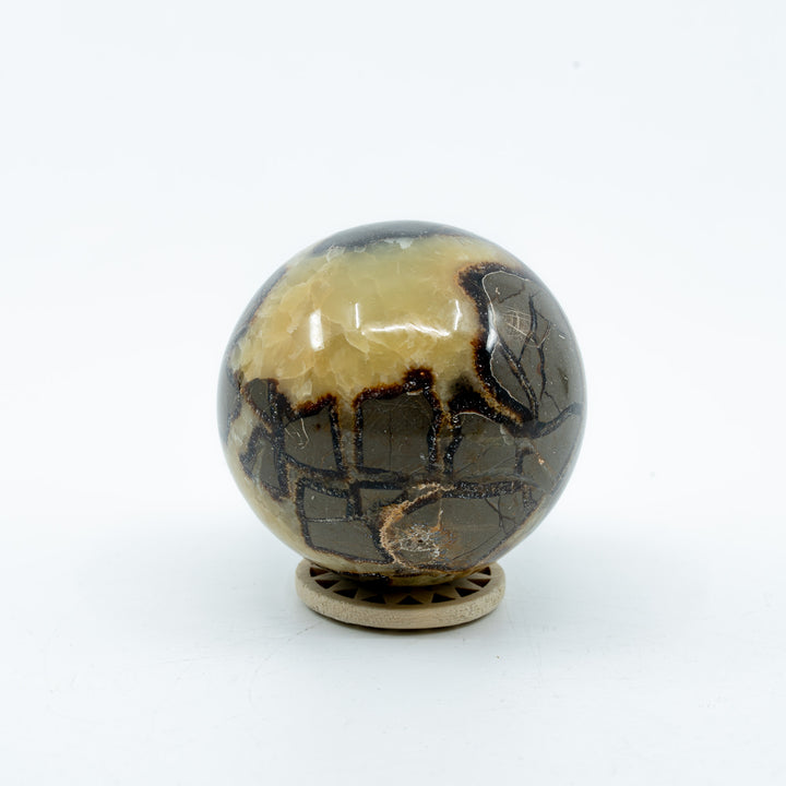 Septarija sfera (drakono akmuo) 308 g