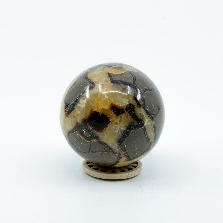 Septarija sfera (drakono akmuo) 308 g