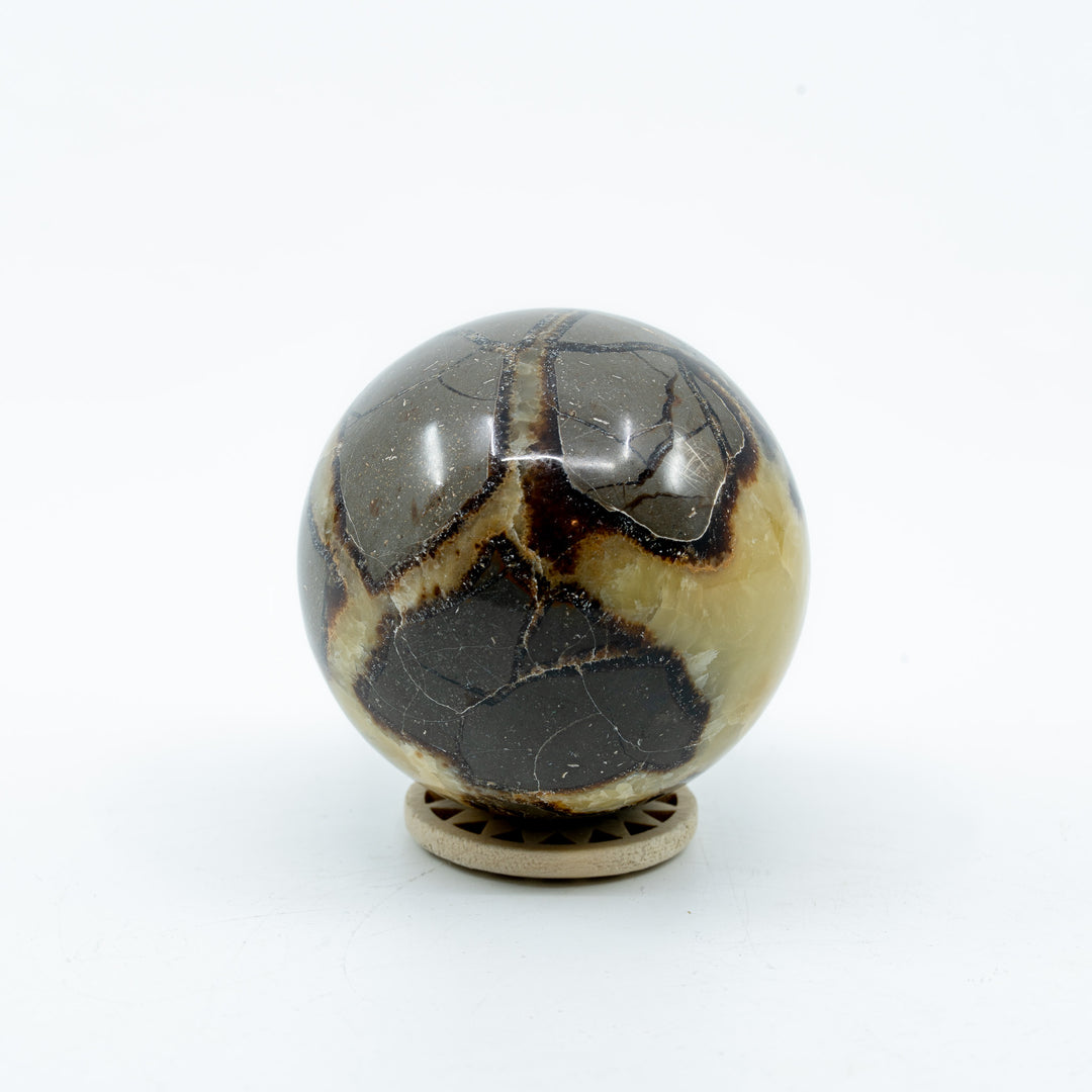 Septarija sfera (drakono akmuo) 308 g