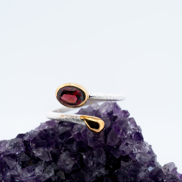 Sidabrinis žiedas su granatu piropu „Ugnies gija“