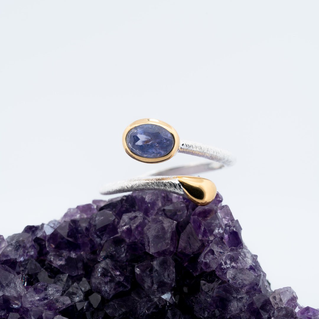 Sidabrinis žiedas su tanzanitu „Vandens kelias“