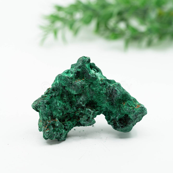 Aksominis Malachitas 115g - Holy Dragonfly