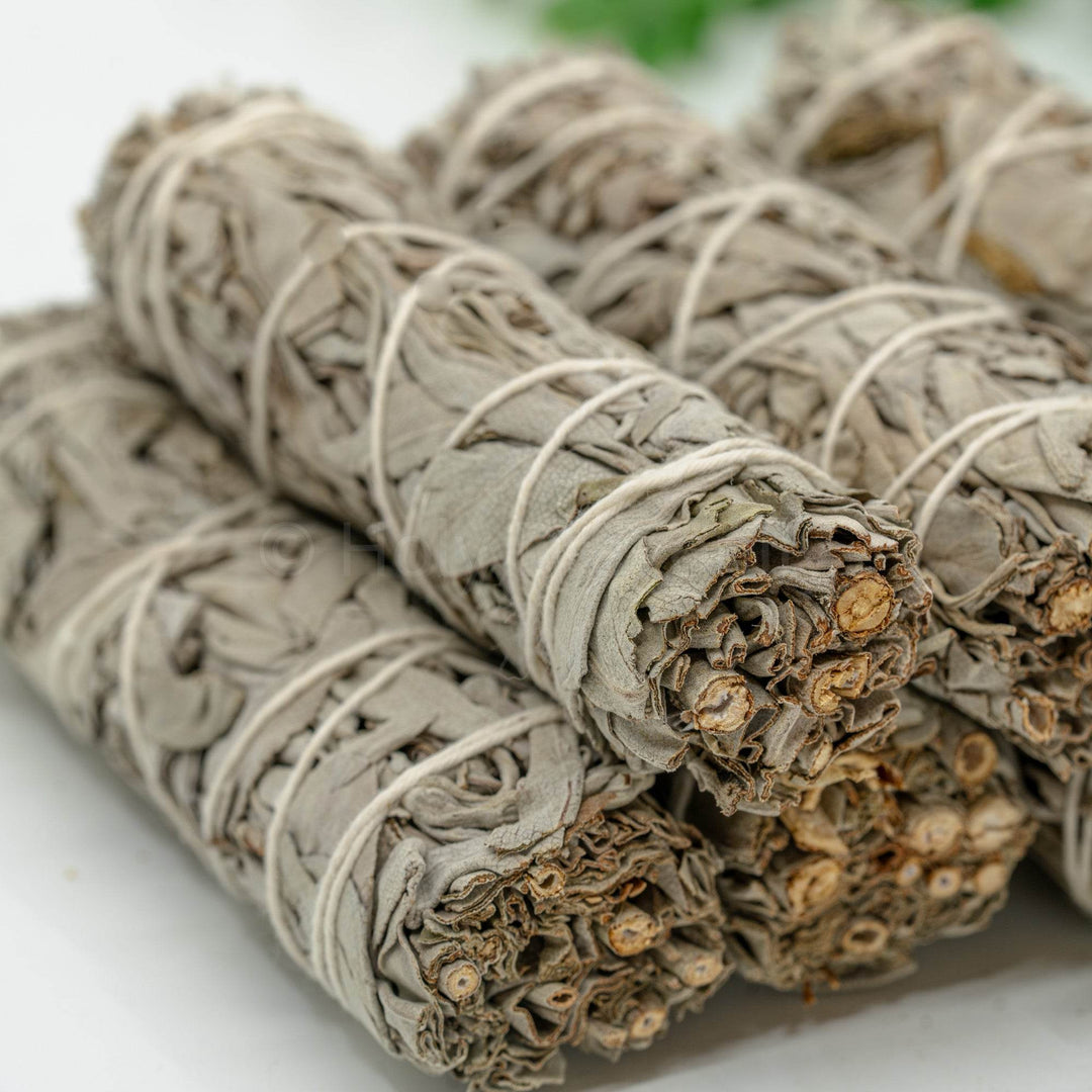 Baltasis Šalavijas 25g - Holy Dragonfly