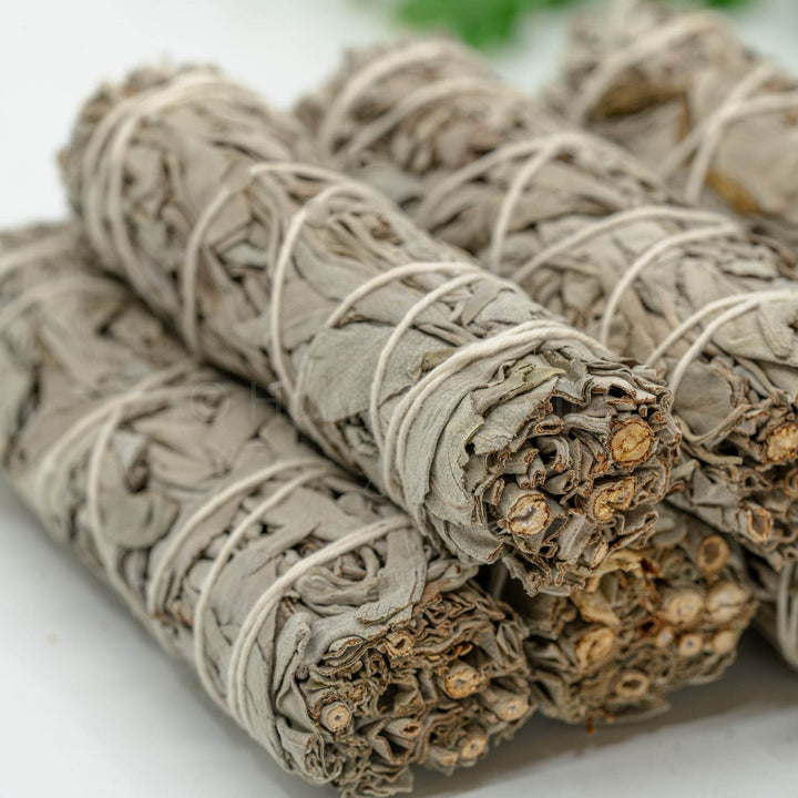 Baltasis Šalavijas 25g - Holy Dragonfly