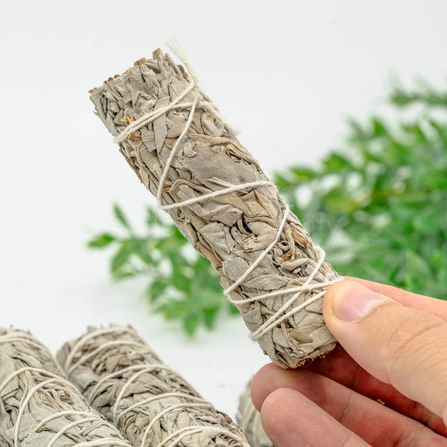 Baltasis Šalavijas 25g - Holy Dragonfly