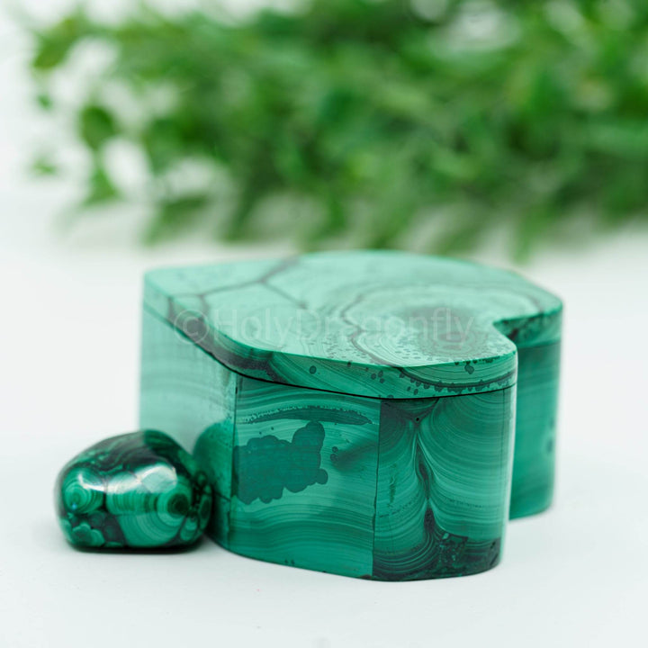 Malachitas skrynelė papuošalams 176gr - Holy Dragonfly