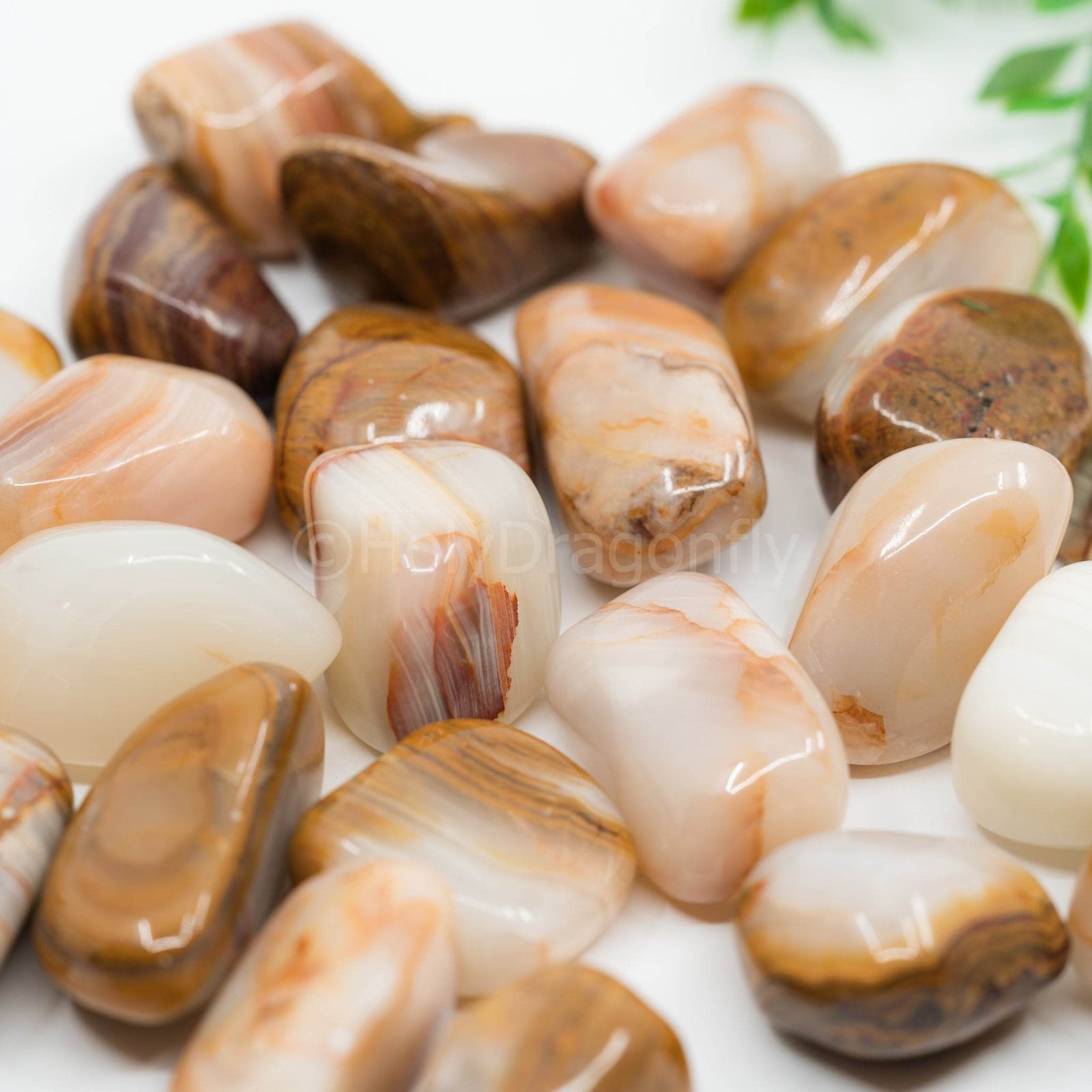 Marmurinis Oniksas - Holy Dragonfly