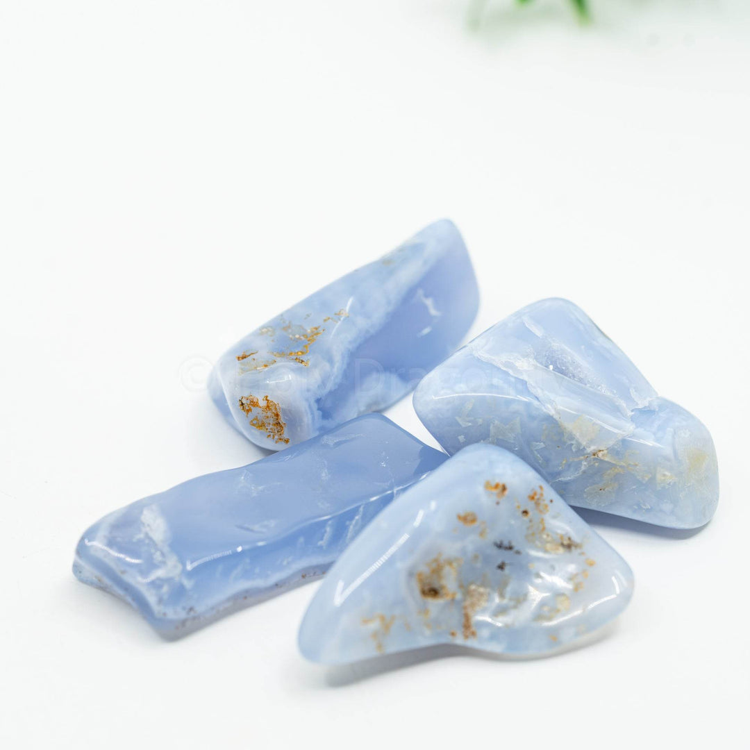 Mėlynas Chalcedonas - Holy Dragonfly
