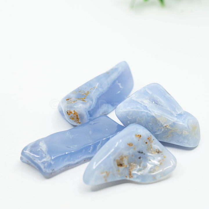 Mėlynas Chalcedonas - Holy Dragonfly