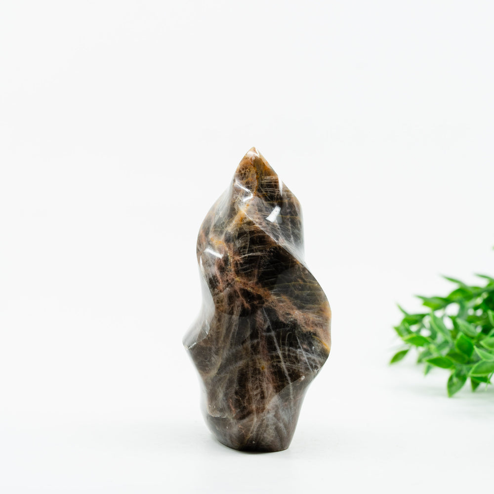 Mėnulio akmuo juodai/ruda liepsnelė 280 g - Holy Dragonfly