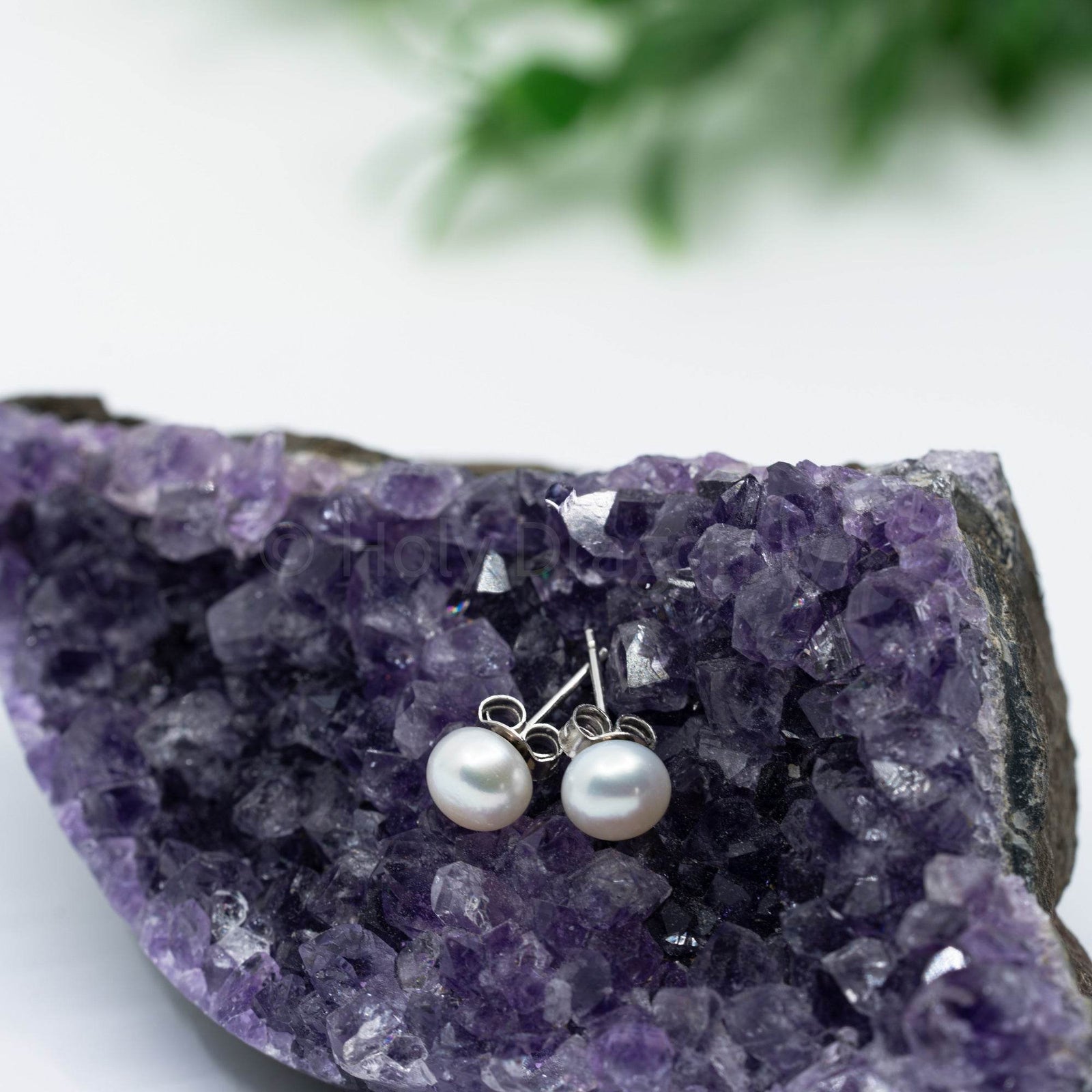 Perlų auskarai - Holy Dragonfly