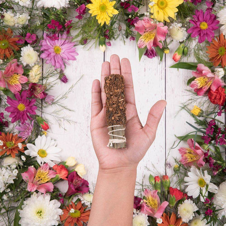 Sagrada Madre Sahumitos Cinnamon & Anise - Holy Dragonfly