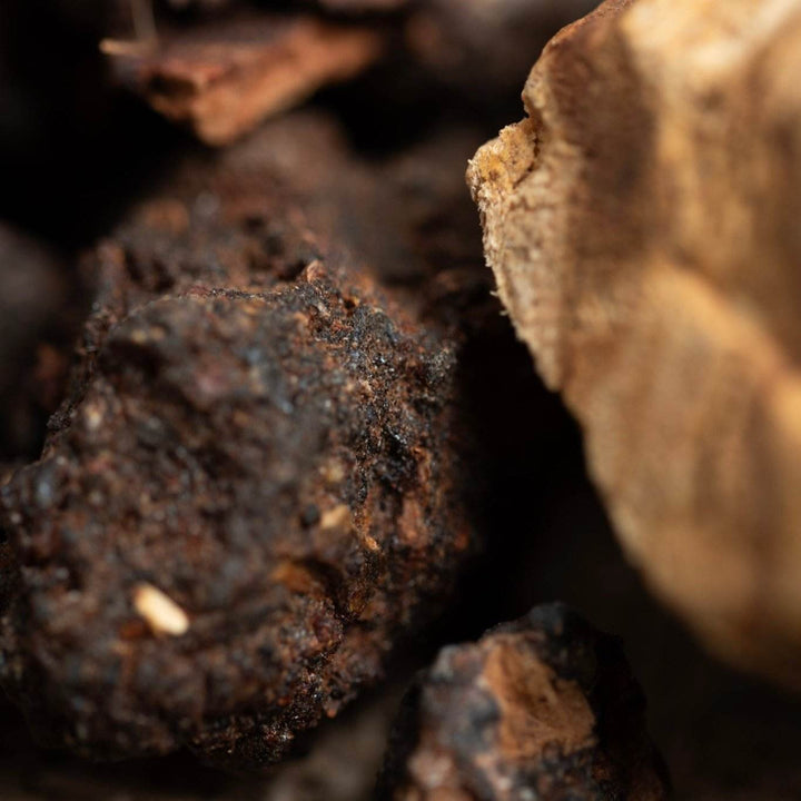 Sagrada Madre Sahumitos Myrrh & Palo Santo - Holy Dragonfly