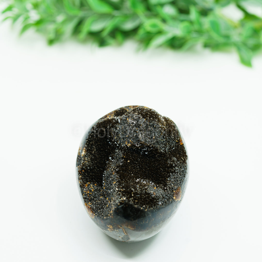 Septarija (drakono akmuo) 219 gr.