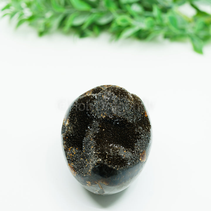 Septarija (drakono akmuo) 219 gr.