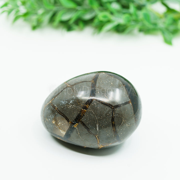 Septarija (drakono akmuo) 219 gr.