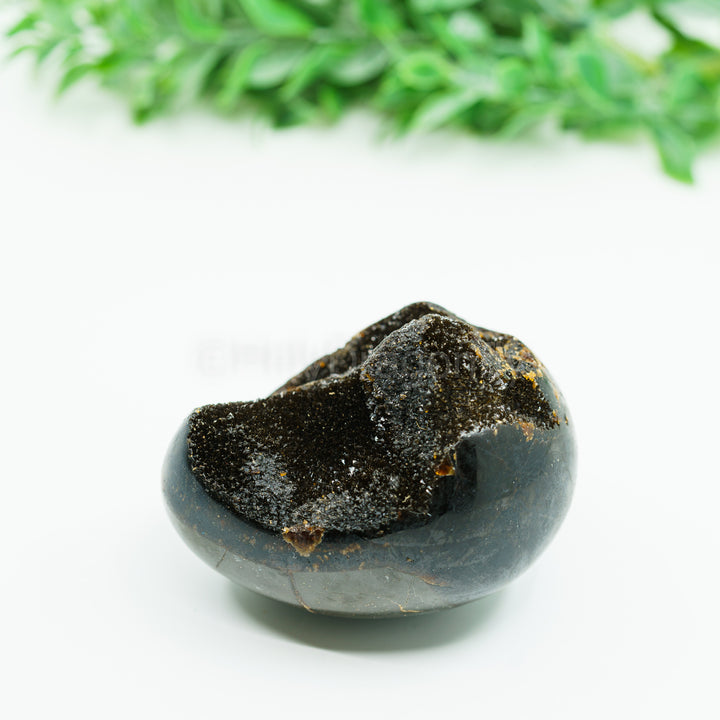 Septarija (drakono akmuo) 219 gr.