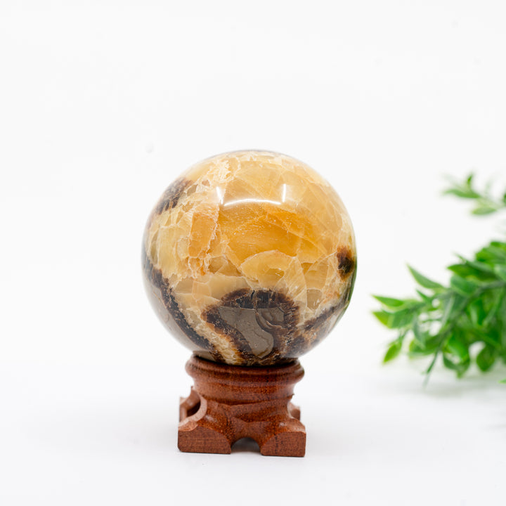 Septarija sfera (drakono akmuo) 309 g.