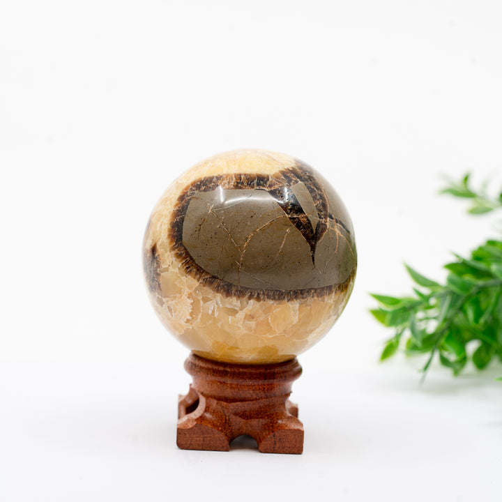 Septarija sfera (drakono akmuo) 309 g.