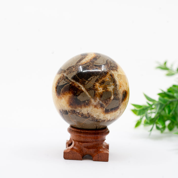 Septarija sfera (drakono akmuo) 309 g.