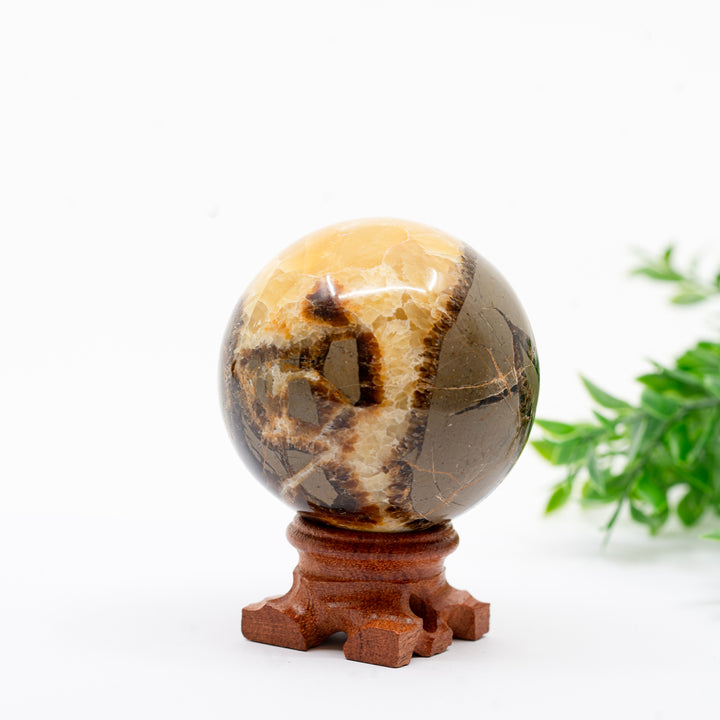 Septarija sfera (drakono akmuo) 309 g.