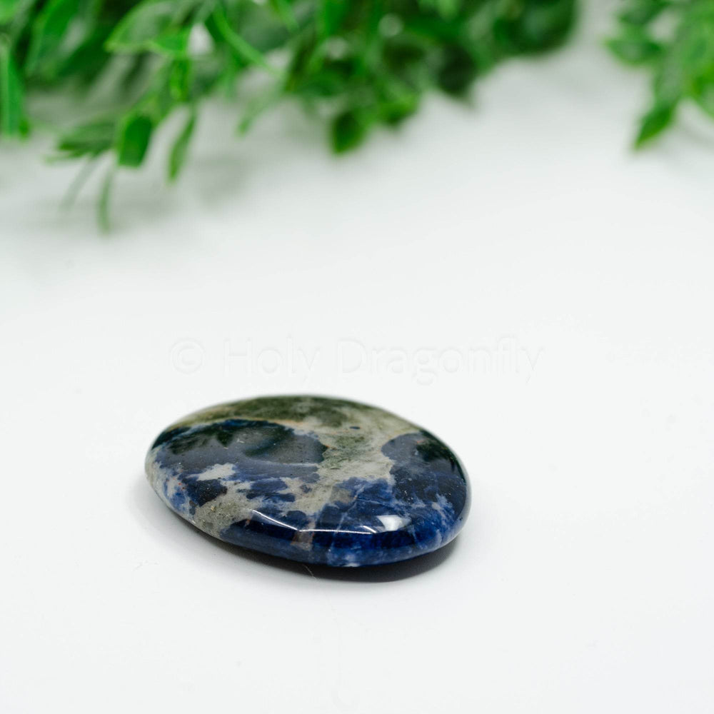 Sodalitas (plokštelė) - Holy Dragonfly