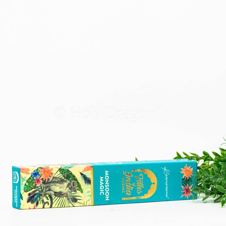 Tales of India Monsoon Magic - Holy Dragonfly