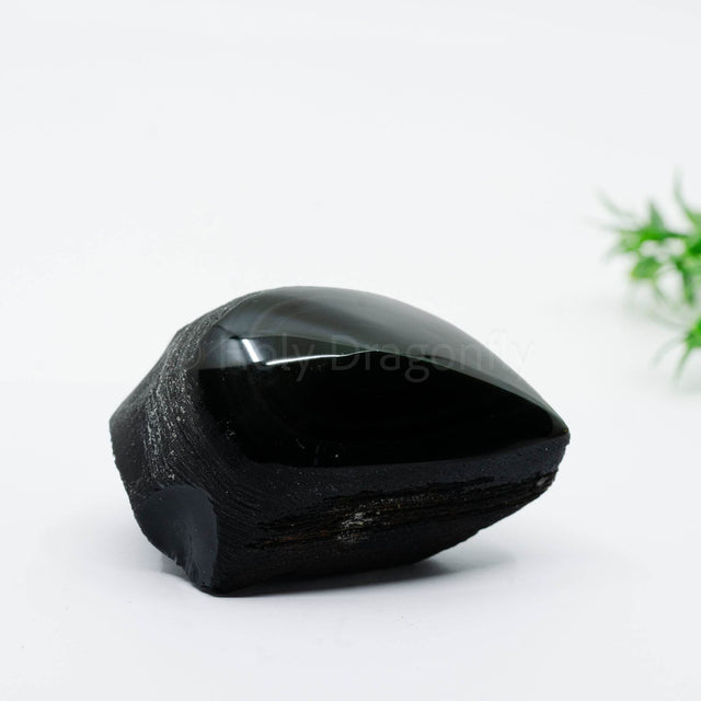 Vaivorykštinio Obsidiano mineralas - Holy Dragonfly