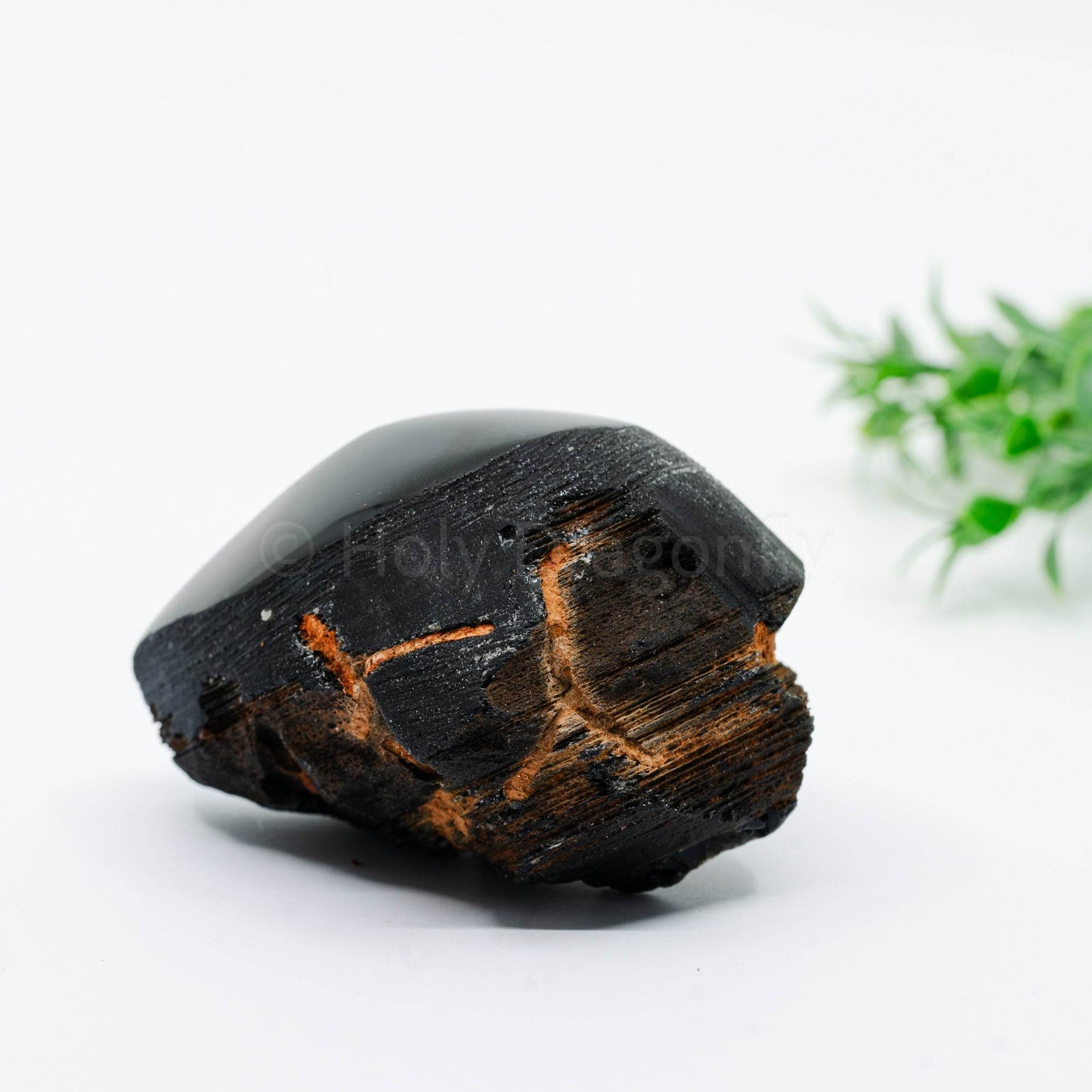 Vaivorykštinio Obsidiano mineralas - Holy Dragonfly